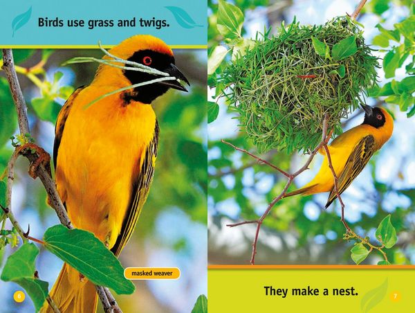 Produktbild: Animal Homes