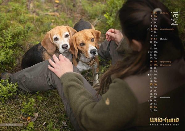 Produktbild: WILD UND HUND Edition: Treue Freunde Kalender 2027