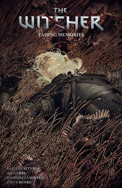 Produktbild: The Witcher Volume 5: Fading Memories