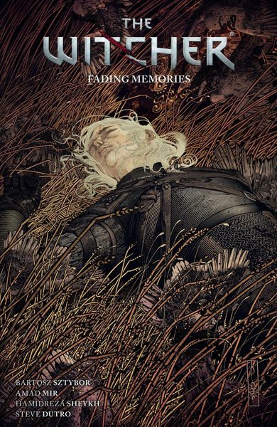 Produktbild: The Witcher Volume 5