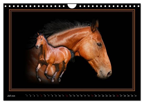 Produktbild: Traumpferde-ART-Collection (Wandkalender 2026 DIN A4 quer), CALVENDO Monatskalender