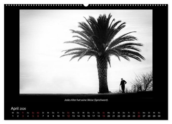 Produktbild: Schwarz-Weis(s)heiten (Wandkalender 2026 DIN A2 quer), CALVENDO Monatskalender