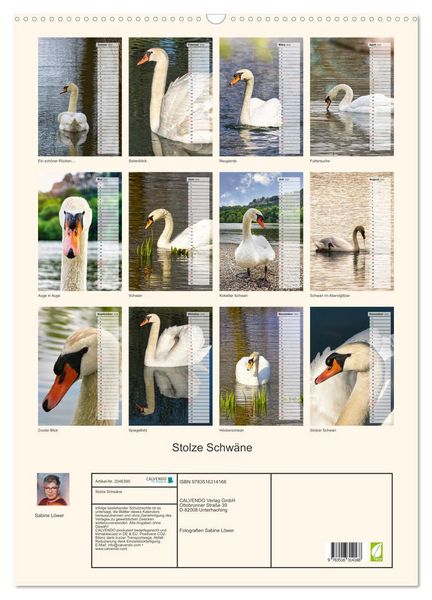 Produktbild: Stolze Schw&auml;ne (Wandkalender 2026 DIN A2 hoch), CALVENDO Monatskalender