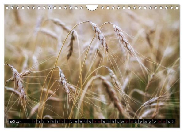 Produktbild: Paysages du Qu&eacute;bec (Calendrier mural 2027 DIN A4 vertical), CALVENDO calendrier mensuel