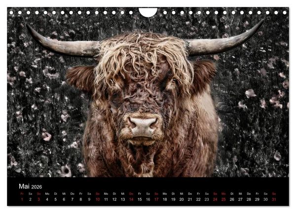 Produktbild: Tierisches (Wandkalender 2026 DIN A4 quer), CALVENDO Monatskalender