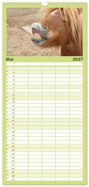 Produktbild: Familienplaner 2027 - Ponys. Herzensbrecher mit Grips mit 5 Spalten (Wandkalender, 21 x 45 cm) CALVENDO