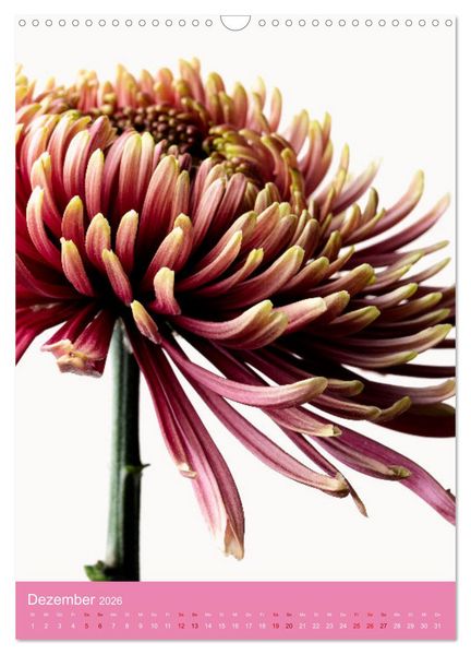 Produktbild: Nat&uuml;rlich Blumen. (Wandkalender 2026 DIN A3 hoch), CALVENDO Monatskalender