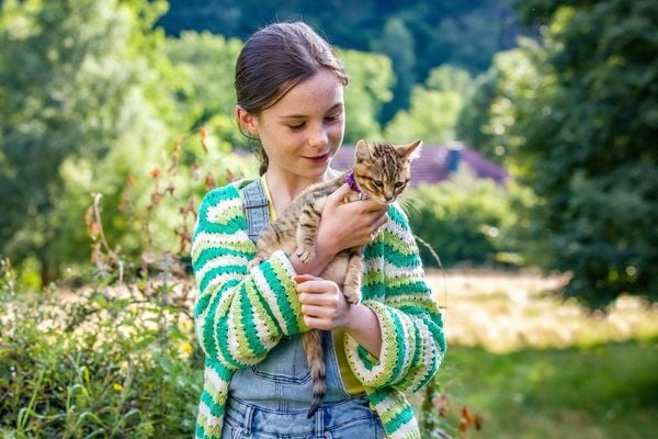 Produktbild: Lou - Abenteuer auf Samtpfoten
