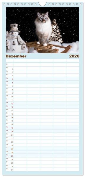 Produktbild: Familienplaner 2026 - Heilige Birma Katzen - Eine Rasse mit traumhaft blauen Augen. mit 5 Spalten (Wandkalender, 21 x 45 cm) CALVENDO
