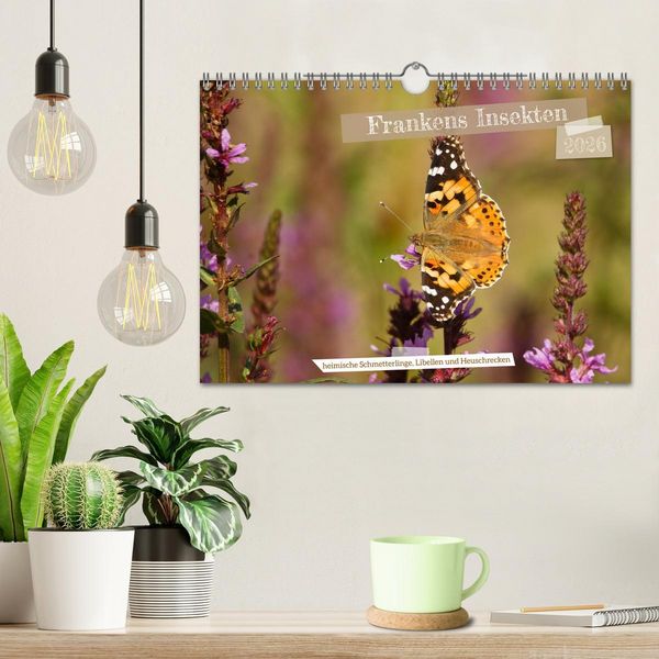 Produktbild: Frankens Insekten (Wandkalender 2026 DIN A4 quer), CALVENDO Monatskalender
