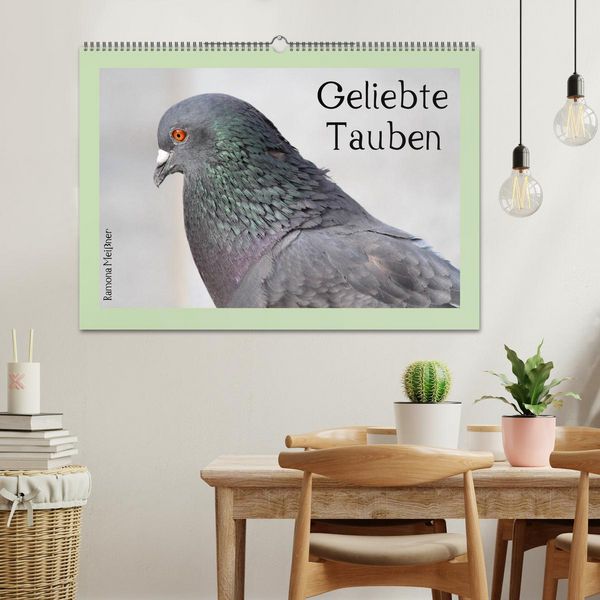 Produktbild: Geliebte Tauben (Wandkalender 2026 DIN A2 quer), CALVENDO Monatskalender
