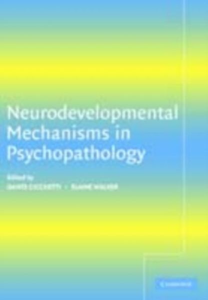 Produktbild: Neurodevelopmental Mechanisms in Psychopathology