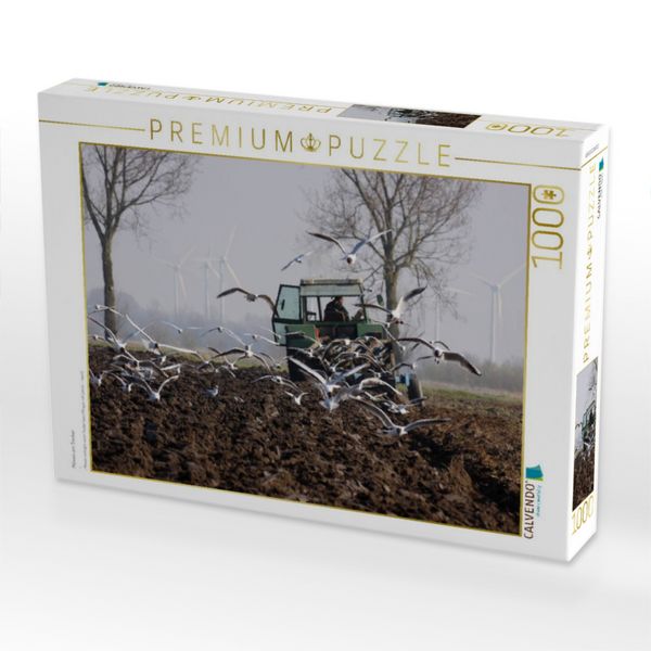 Produktbild: CALVENDO Puzzle M&ouml;wen am Trecker | 1000 Teile Lege-Gr&ouml;&szlig;e 64x48cm Foto-Puzzle f&uuml;r gl&uuml;ckliche Stunden