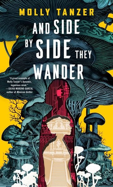 Produktbild: And Side by Side They Wander