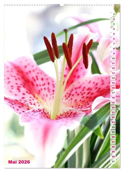Produktbild: Lilien-Eleganz (hochwertiger Premium Wandkalender 2026 DIN A2 hoch), Kunstdruck in Hochglanz