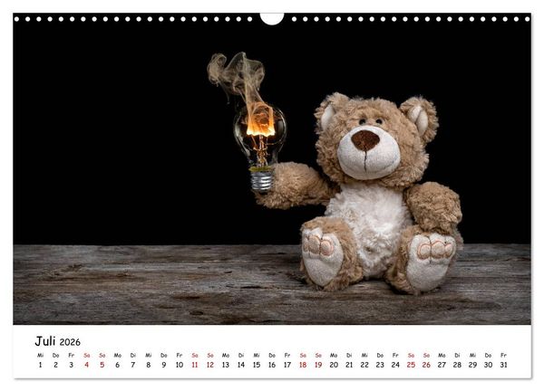 Produktbild: Eddy, der Teddy (Wandkalender 2026 DIN A3 quer), CALVENDO Monatskalender