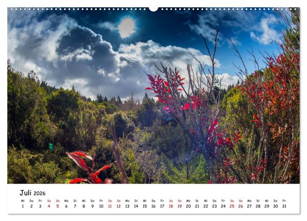 Produktbild: Madeira Magie (hochwertiger Premium Wandkalender 2026 DIN A2 quer), Kunstdruck in Hochglanz