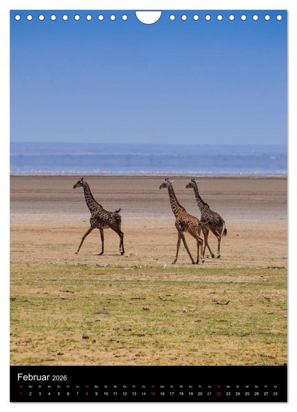 Produktbild: Wildes Afrika (Wandkalender 2026 DIN A4 hoch), CALVENDO Monatskalender
