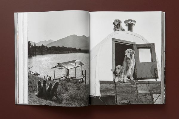 Produktbild: Bruce Weber