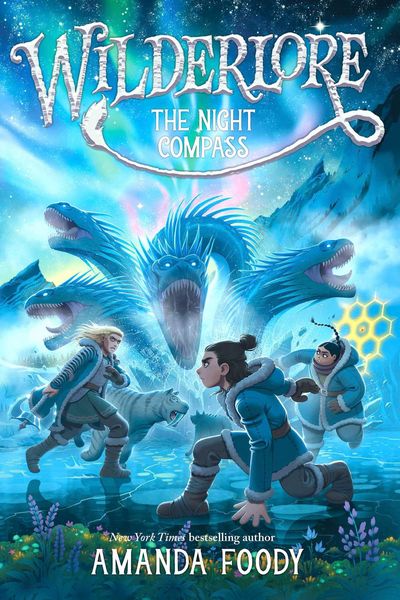 Produktbild: The Night Compass