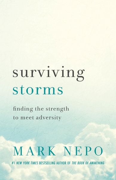 Produktbild: Surviving Storms