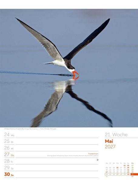 Produktbild: V&ouml;gel Wochenplaner Kalender 2027