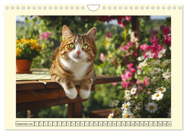 Produktbild: Geliebte Katzen. Unsere zauberhaften Hauskatzen im Garten (Wandkalender 2026 DIN A4 quer), CALVENDO Monatskalender