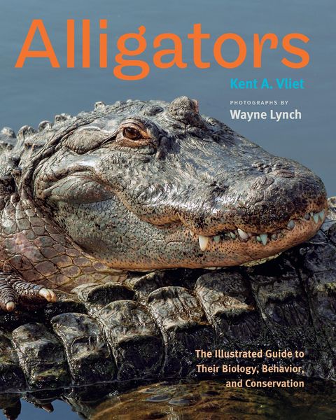 Produktbild: Alligators