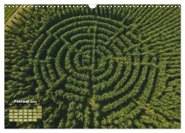 Produktbild: Wundersch&ouml;ne Cannabisfelder (Wandkalender 2026 DIN A3 quer), CALVENDO Monatskalender