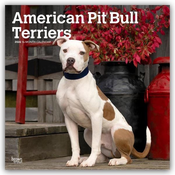Produktbild: American Pit Bull Terriers 2026 &ndash; 16-Monatskalender