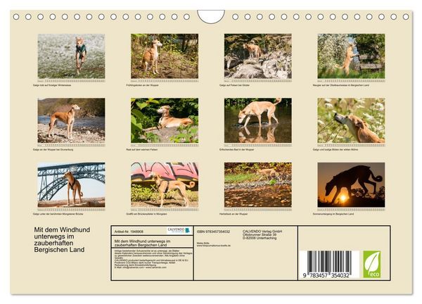 Produktbild: Mit dem Windhund unterwegs im zauberhaften Bergischen Land (Wandkalender 2026 DIN A4 quer), CALVENDO Monatskalender