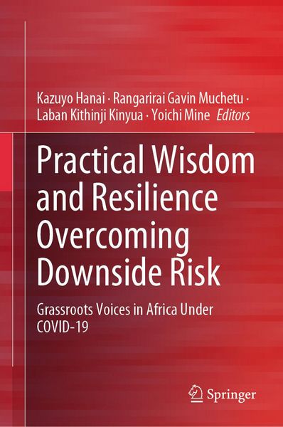 Produktbild: Practical Wisdom and Resilience Overcoming Downside Risk