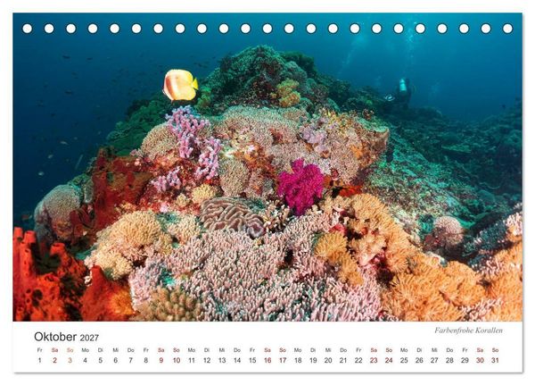 Produktbild: Unterwasser - eine bunte Welt (Tischkalender 2027 DIN A5 quer), CALVENDO Monatskalender