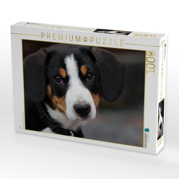 Produktbild: CALVENDO Puzzle Hund | 1000 Teile Lege-Gr&ouml;&szlig;e 64x48cm Foto-Puzzle f&uuml;r gl&uuml;ckliche Stunden