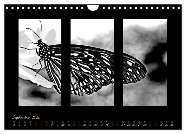 Produktbild: Die Kunst der Natur - Dreifach Stilvoll (Wandkalender 2026 DIN A4 quer), CALVENDO Monatskalender