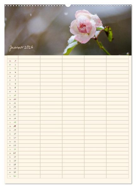 Produktbild: Mit Blick in den Garten (Wandkalender 2026 DIN A2 hoch), CALVENDO Monatskalender