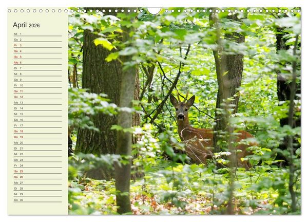 Produktbild: L&auml;ndliche Idylle zwischen Erzgebirge und Muldental (Wandkalender 2026 DIN A3 quer), CALVENDO Monatskalender