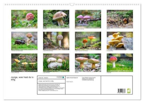 Produktbild: Junge, was hast du`s eilig (Wandkalender 2026 DIN A2 quer), CALVENDO Monatskalender