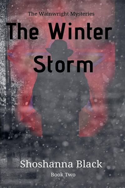 Produktbild: The Winter Storm