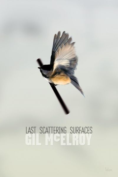 Produktbild: Last Scattering Surfaces