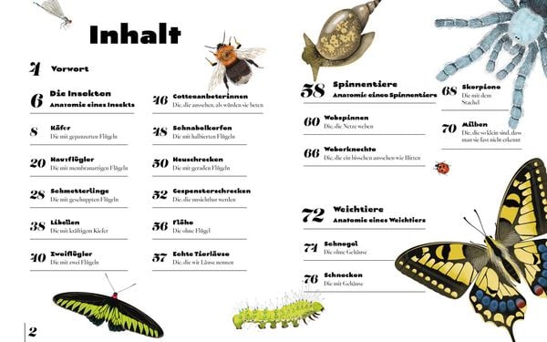 Produktbild: Insekten & Krabbeltiere