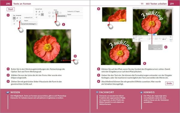 Produktbild: Photoshop Elements 2026 - Bild f&uuml;r Bild erkl&auml;rt