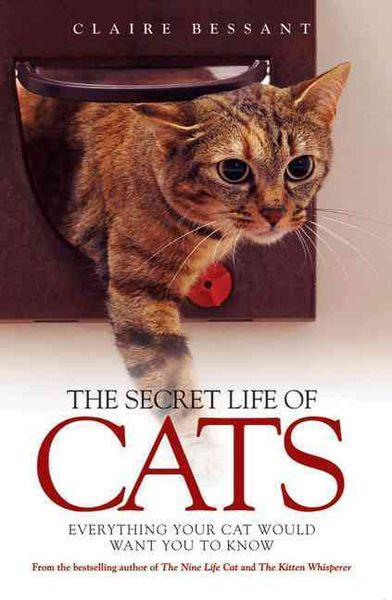 Produktbild: Bessant, C: The Secret Life of Cats