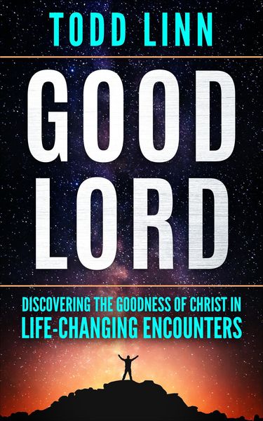 Produktbild: Good Lord: Discovering The Goodness Of Christ In Life-Changing Encounters