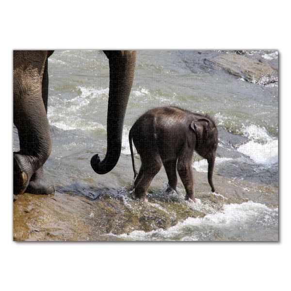 Produktbild: Lais Puzzle Elefantenbaby 1000 Teile