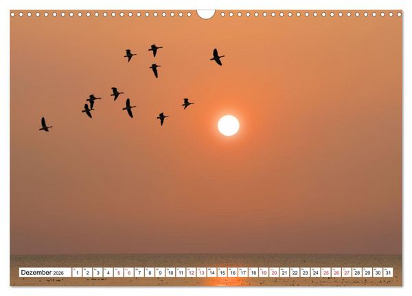 Produktbild: GREETSIEL - Schafe - Krabbenkutter - M&ouml;wen (Wandkalender 2026 DIN A3 quer), CALVENDO Monatskalender