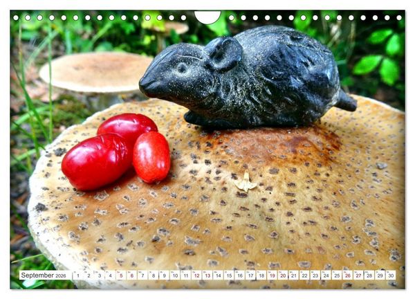 Produktbild: Pilz-Tiere (Wandkalender 2026 DIN A4 quer), CALVENDO Monatskalender