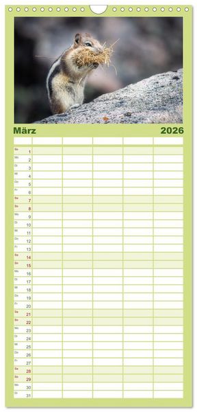 Produktbild: Familienplaner 2026 - Wildtierkalender mit 5 Spalten (Wandkalender, 21 x 45 cm) CALVENDO