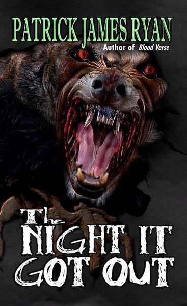Produktbild: The Night It Got Out