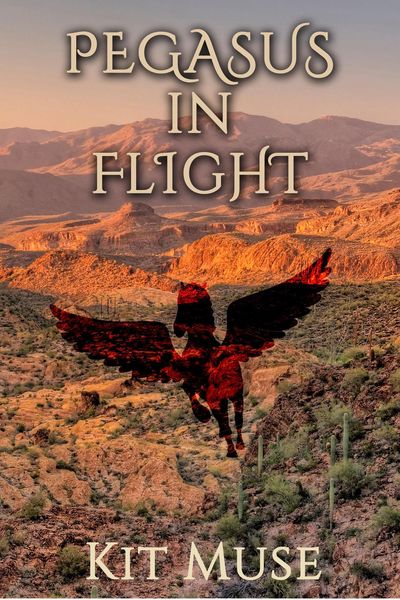 Produktbild: Pegasus In Flight: Founding the Pegasus Academy (The Pegasus Enchantment, #2)